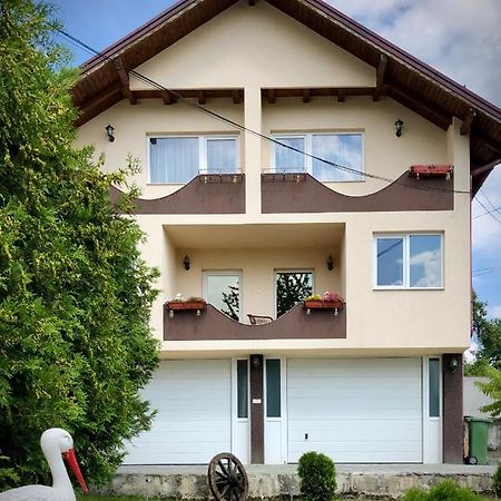 Casa Paunescu Milostea Extérieur photo